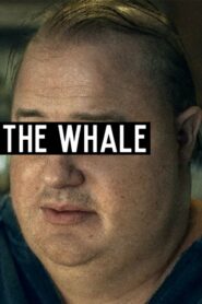 The Whale (La Ballena)