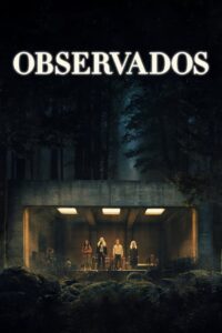 Observados