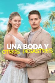 Una boda y otros desastres