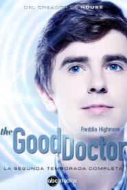 The Good Doctor: Temporada 2