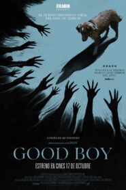 Good Boy: Confía en su instinto