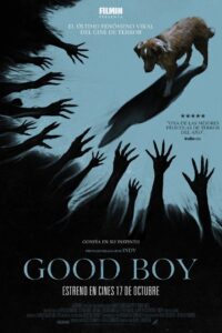 Good Boy: Confía en su instinto