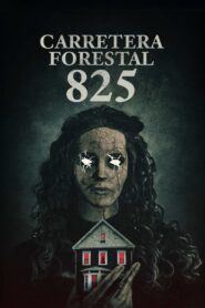Carretera forestal 825