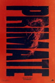 Primate
