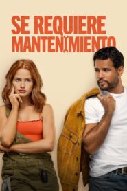 Mantenimiento requerido